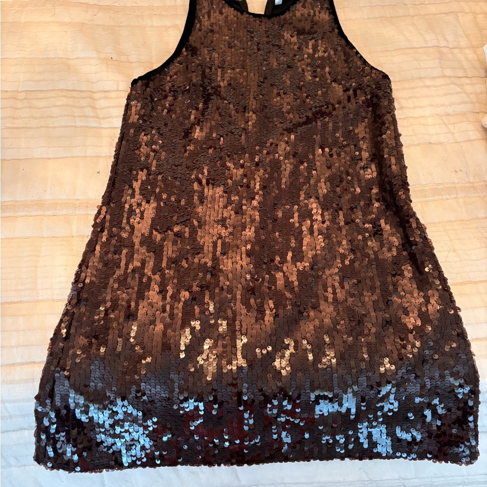 Sparkly Zara dress